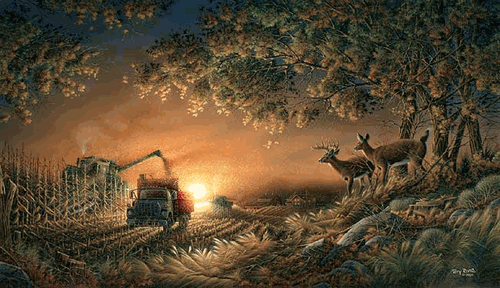 (image for) Sunset Harvest Elite